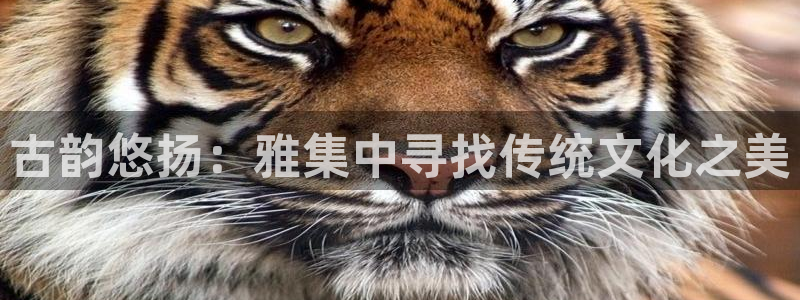 凯发官网手机app