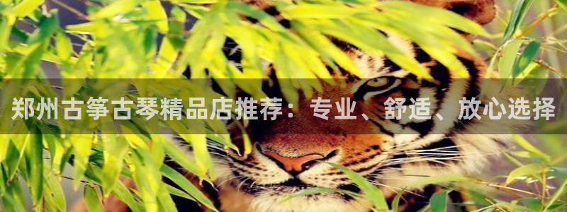 凯发最新官方app下载