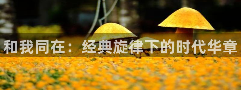 凯发国际网站首页