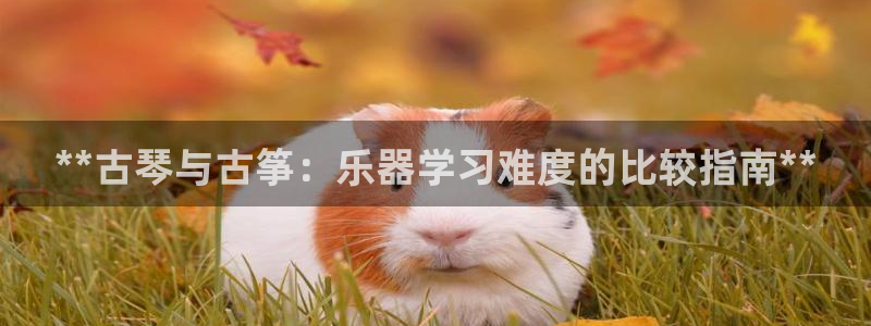 凯发国际平台登录：**古琴与古筝：乐器学习难度的比较指南**