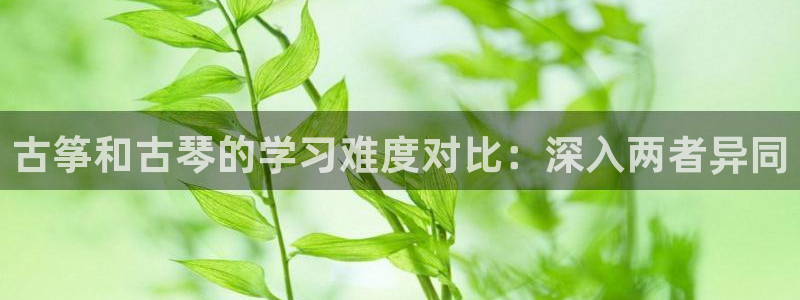 凯发k8app下载:古筝和古琴的学习难度对比:深入两者异同